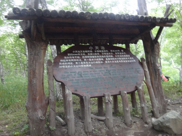 DSC04203.JPG