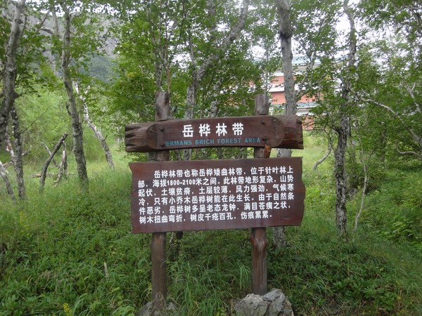 DSC04210.JPG