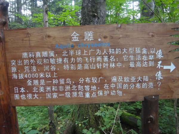 DSC04338.JPG