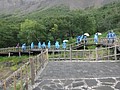 DSC04196.JPG