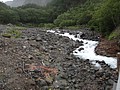 DSC04199.JPG