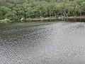 DSC04204.JPG