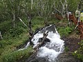 DSC04211.JPG