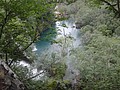 DSC04212.JPG