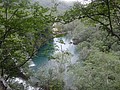 DSC04213.JPG