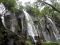 DSC04218.JPG
