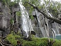 DSC04219.JPG