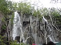 DSC04220.JPG