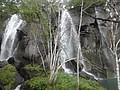 DSC04221.JPG