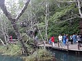 DSC04224.JPG