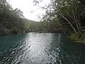 DSC04225.JPG