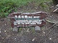 DSC04237.JPG