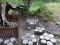 DSC04242.JPG