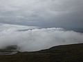DSC04317.JPG