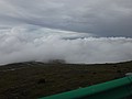 DSC04318.JPG