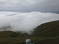 DSC04321.JPG
