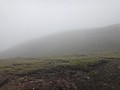 DSC04327.JPG