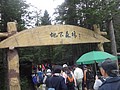 DSC04334.JPG