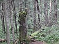 DSC04335.JPG