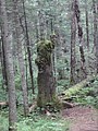 DSC04336.JPG