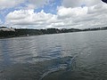 DSC04391.JPG