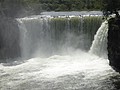 DSC04402.JPG