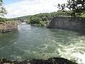 DSC04406.JPG