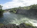 DSC04420.JPG