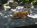 DSC04436.JPG