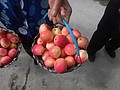 DSC04446.JPG