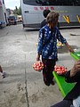 DSC04447.JPG
