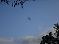 DSC04575.JPG