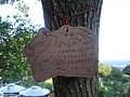 DSC04576.JPG