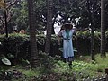 DSC04888.JPG