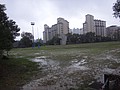 DSC04893.JPG