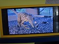 DSC04994.JPG