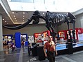 DSC04996.JPG