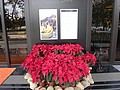 DSC05102.JPG