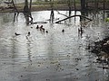 DSC05218.JPG