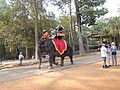 DSC05233.JPG