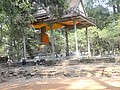 DSC05270.JPG