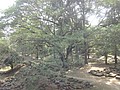 DSC05276.JPG