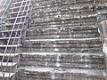 DSC05295.JPG