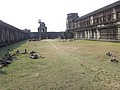DSC05331.JPG