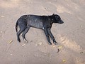 DSC05397.JPG