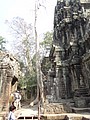 DSC05406.JPG
