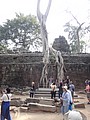 DSC05408.JPG