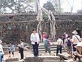 DSC05410.JPG