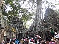 DSC05414.JPG