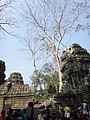 DSC05416.JPG